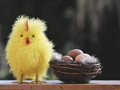 Mietwohnung in 9473 Lavamünd