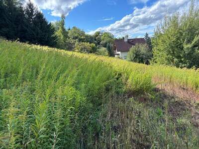 Grundstück kaufen in 4782 Sankt Florian