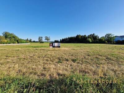 Grundstück kaufen in 2722 Weikersdorf