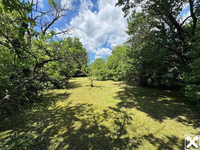 Haus kaufen in 2630 Ternitz (Bild 3)