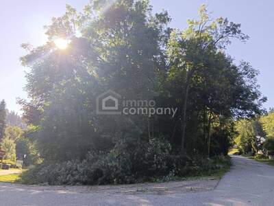 Grundstück kaufen in 2680 Semmering