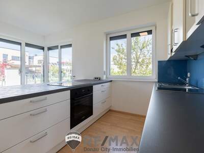 Einfamilienhaus kaufen in 3481 Fels (Bild 5)