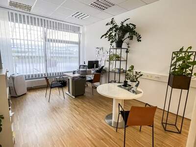 Gewerbeobjekt kaufen in 4600 Wels (Bild 1)