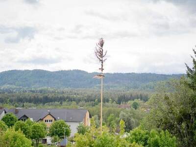Wohnung mit Balkon mieten in 9535 Schiefling (Bild 5)