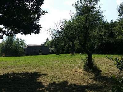 Jagd- und Forstwirtschaft kaufen in 3434 Wilfersdorf (Bild 2)