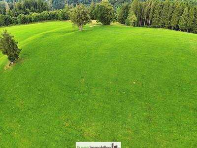 Grundstück kaufen in 4554 Oberschlierbach (Bild 5)