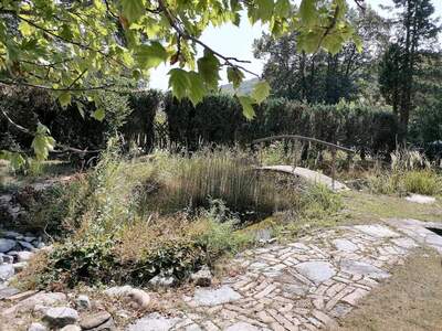 Haus kaufen in 3443 Pressbaum