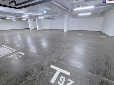 Immobilie kaufen in 1210 Wien