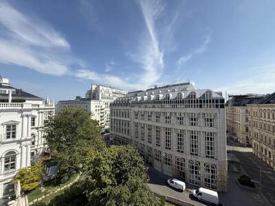 Wohnung kaufen in 1010 Wien (Bild 3)