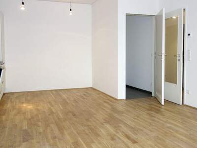 Wohnung mieten in 4600 Wels (Bild 4)