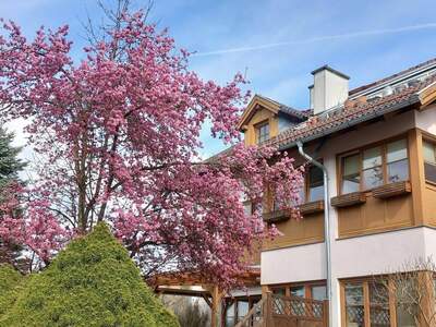 Mietwohnung provisionsfrei in 5151 Nußdorf