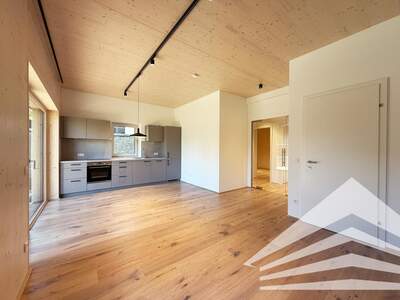 Etagenwohnung mieten in 4020 Linz