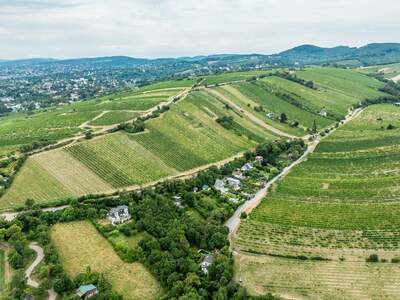 Grundstück kaufen in 1190 Wien (Bild 4)