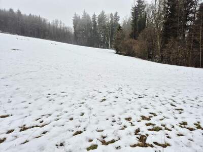 Gewerbeobjekt kaufen in 3233 Kilb