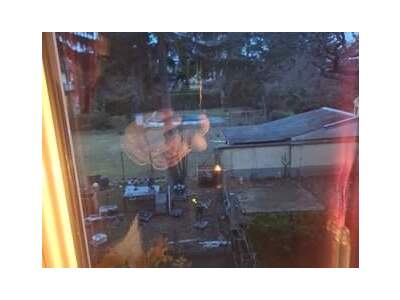 Immobilie provisionsfrei mieten in 1100 Wien