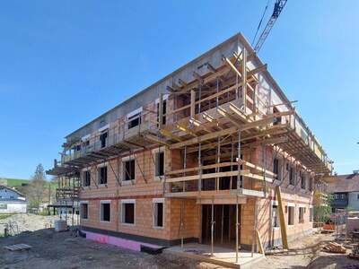 Anlageobjekt kaufen in 4742 Pram