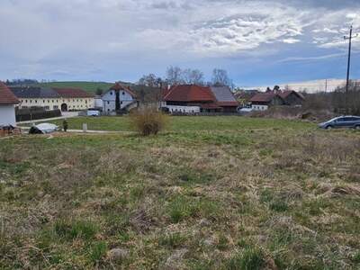 Grundstück kaufen in 4611 Buchkirchen (Bild 3)