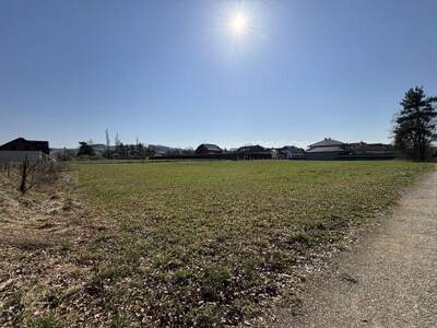 Grundstück kaufen in 3250 Mühling