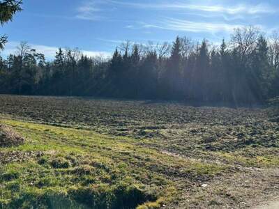 Grundstück kaufen in 8423 Rabenhof (Bild 1)