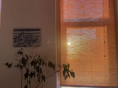 Etagenwohnung kaufen in 1160 wien