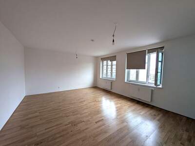 Altbauwohnung mieten in 1030 Wien (Bild 1)