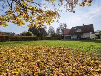 Grundstück kaufen in 6973 Höchst