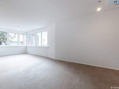 Apartment provisionsfrei mieten in 2000 Niederösterreich