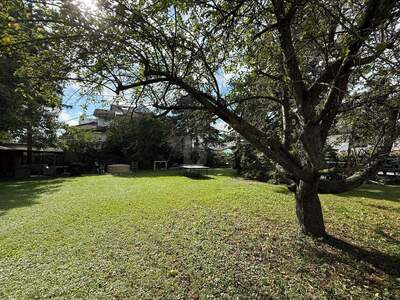 Grundstück kaufen in 2353 Guntramsdorf (Bild 2)