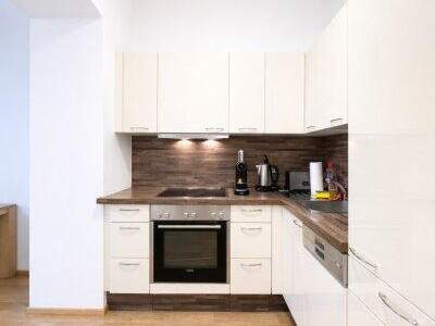 Terrassenwohnung kaufen in 1200 Wien (Bild 4)