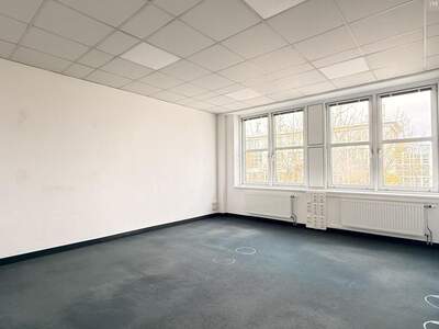 Gewerbeobjekt mieten in 2320 Schwechat (Bild 2)