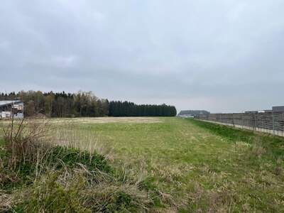 Grundstück kaufen in 4621 Schnarrndorf (Bild 2)