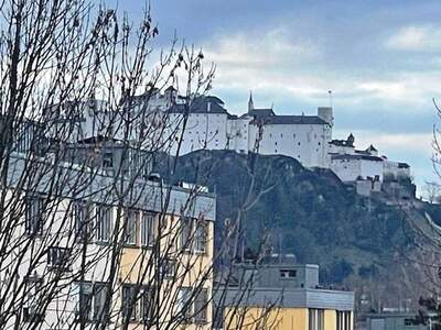Wohnung mit Balkon mieten in 5020 Salzburg