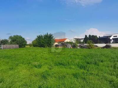 Grundstück kaufen in 7123 Mönchhof (Bild 1)