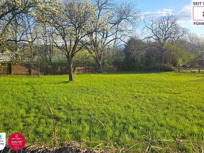 Grundstück kaufen in 2620 Neunkirchen (Bild 2)