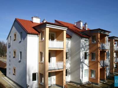 Wohnung mieten in 7551 Stegersbach