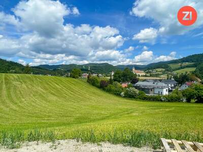 Grundstück kaufen in 4391 Waldhausen