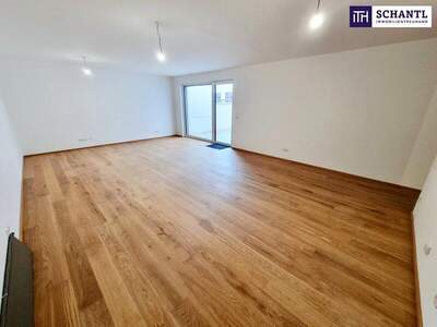 Terrassenwohnung kaufen in 1230 Wien (Bild 5)