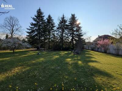 Grundstück kaufen in 7201 Neudörfl