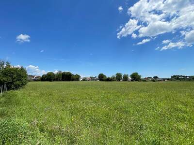 Grundstück kaufen in 8562 Mooskirchen