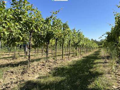 Gewerbeobjekt kaufen in 3492 Engabrunn (Bild 2)