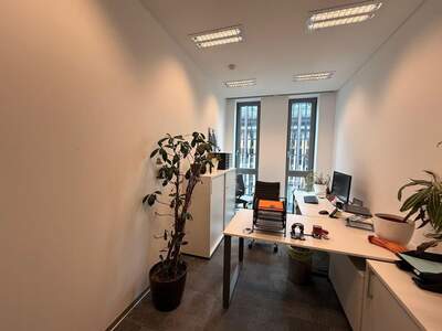 Gewerbeobjekt mieten in 1010 Wien (Bild 4)