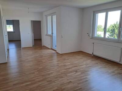 Wohnung provisionsfrei mieten in 4060 Haag