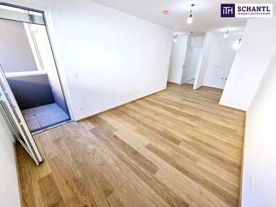 Terrassenwohnung kaufen in 1230 Wien (Bild 2)