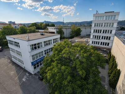 Gewerbeobjekt kaufen in 4020 Linz (Bild 2)