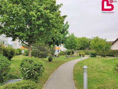 Mietwohnung in 4053 Kremsdorf (Bild 5)