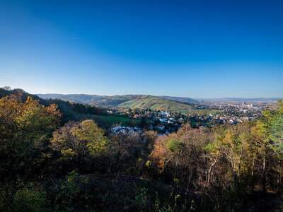 Grundstück kaufen in 3400 Klosterneuburg (Bild 3)