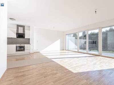 Wohnung mieten in 2201 Gerasdorf (Bild 3)