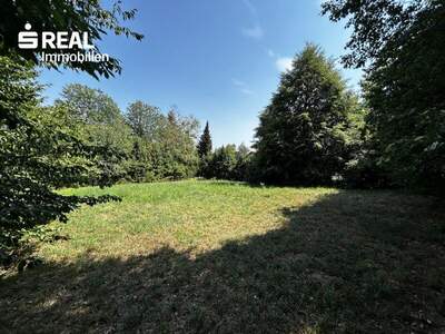 Grundstück kaufen in 8061 Sankt Radegund (Bild 2)