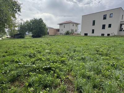 Grundstück kaufen in 4064 Kirchstetten (Bild 4)