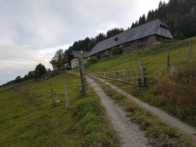 Grundstück kaufen in 8832 Oberwölz (Bild 5)